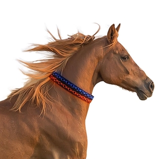 LED broderi reb halsbånd til heste